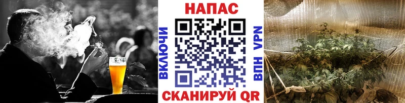 Конопля MAZAR  Чадан 